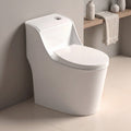 10 in. Rough-In 1.0/1.28 GPF Dual-Flush One-Piece Elongated 19 in. Chair Height Toilet with Soft-Close Seat in White