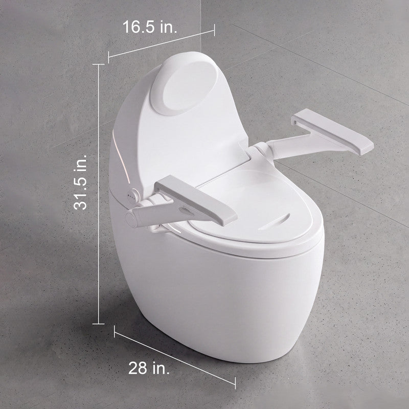 One-Piece Smart Bidet Toilet with Fold-Up Support Armrests, Backrest, Heated Seat and Auto Flush in White